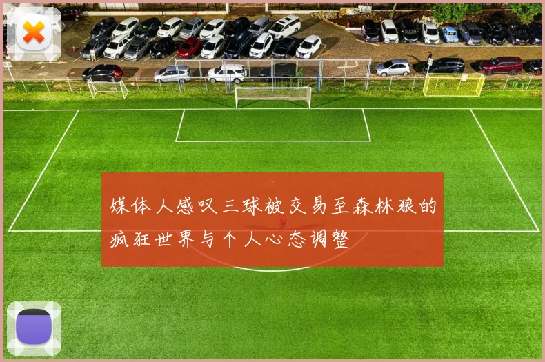 媒体人感叹三球被交易至森林狼的疯狂世界与个人心态调整