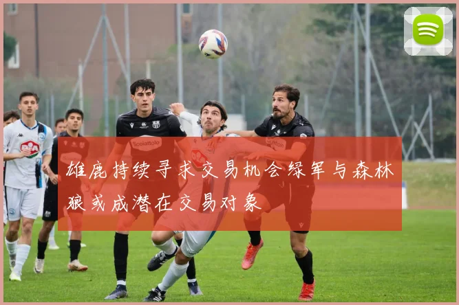 雄鹿持续寻求交易机会绿军与森林狼或成潜在交易对象